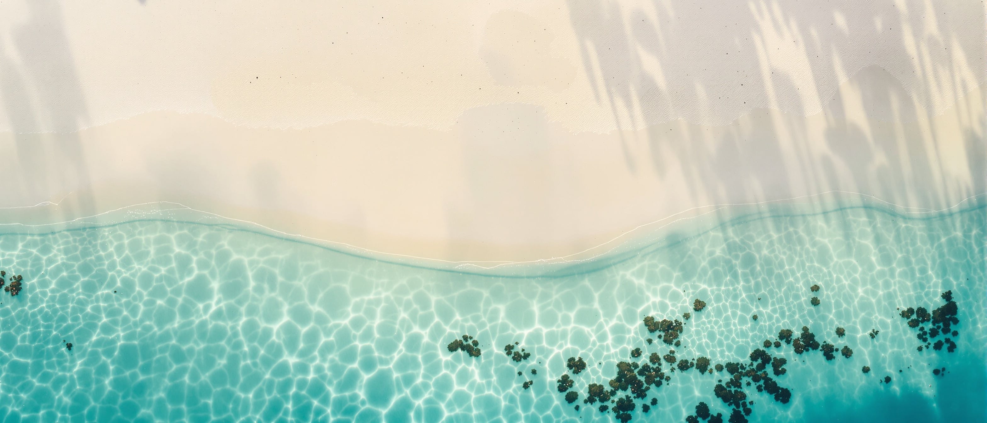 Textura natural de arena que inspira el diseño